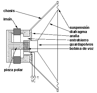 Partes de un Parlante